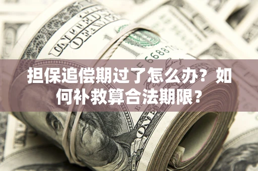 济南担保追偿期过了怎么办？如何补救算合法期限？